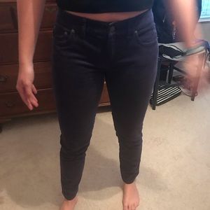 Vineyard vines navy corduroy pants. NWT